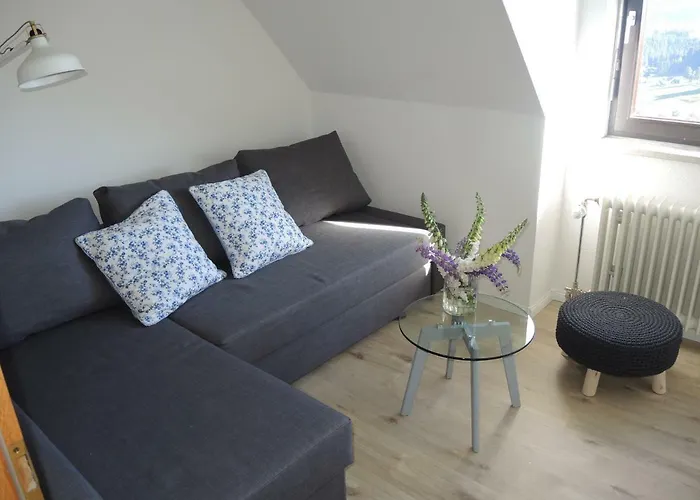 Lägenhet Saig Lenzkirch